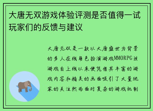 大唐无双游戏体验评测是否值得一试玩家们的反馈与建议